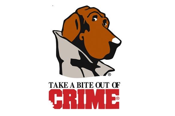 mcgruff-the-crime-dog