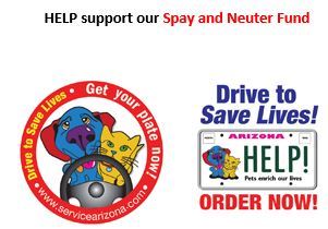 Spay and Neuter