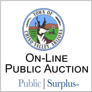 Pulbic Surplus Auction